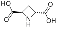 (±)-TRANS-AZETIDINE-2,4-DICARBOXYLIC ACID CAS#: 121050-03-1