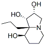 1,2,8-Indolizinetriol, octahydro-8a-propyl-, (1S,2R,8R,8aR)- (9CI) CAS#: 277755-44-9
