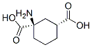 1,3-Cyclohexanedicarboxylicacid,1-amino-,(1R-cis)-(9CI) CAS#: 115730-37-5