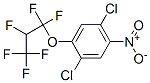 1,4-dichloro-2-(1,1,2,3,3,3-hexafluoropropoxy)-5-nitrobenzene CAS#: 130841-23-5