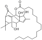 1H-2,8a-Methanocyclopenta(a)cyclopropa(e)cyclodecen-11-one, 2,5,5a,6,9 ,10,10a,1a-octahydro-4-hydroxymethyl-1,1,7,9-tetramethyl-5,5a,6-trihyd roxy-, 5-hexadecanoate CAS#: 37394-33-5