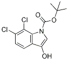 1H-Indol-3-ol, 6,7-dichloro- CAS#: 384829-02-1