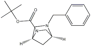 (1S,4S)-tert-butyl 5-benzyl-2,5-diazabicyclo[2.2.1]heptane-2-carboxylate CAS#: 132666-68-3