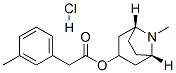 [(1S,5R)-8-methyl-8-azabicyclo[3.2.1]oct-3-yl] 2-(3-methylphenyl)aceta te hydrochloride CAS#: 3266-14-6