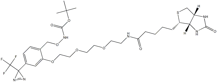 [[2-[2-[2-[2-[[5-[(3aS,4S,6aR)-Hexahydro-2-oxo-1H-thieno[3,4-d]imidazol-4-yl]-1-oxopentyl]amino]ethoxy]ethoxy]ethoxy]-4-[3-(trifluoromethyl)-3H-diazirin-3-yl]phenyl]methoxy]carbamic acid 1,1-dimethylethyl ester CAS#: 299931-19-4