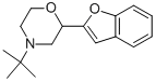 2-(2-BENZOFURANYL)-4-TERT-BUTYL-MORPHOLINE CAS#: 119491-61-1