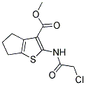2-(2-CHLORO-ACETYLAMINO)-5,6-DIHYDRO-4H-CYCLOPENTA[B]THIOPHENE-3-CARBOXYLIC ACID METHYL ESTER CAS#: 300676-39-5
