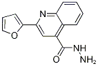 2-(2-FURYL)QUINOLINE-4-CARBOHYDRAZIDE CAS#: 345218-20-4