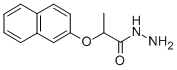 2-(2-NAPHTHYLOXY)PROPANOHYDRAZIDE CAS#: 143540-88-9