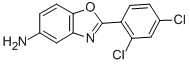 2-(2,4-DICHLORO-PHENYL)-BENZOOXAZOL-5-YLAMINE CAS#: 293737-83-4