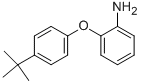 2-[4-(TERT-BUTYL)PHENOXY]ANILINE CAS#: 3169-73-1