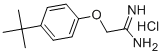 2-[4-(TERT-BUTYL)PHENOXY]ETHANIMIDAMIDE HYDROCHLORIDE CAS#: 175277-47-1
