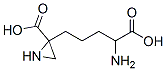 2-(4-amino-4-carboxybutyl)-2-aziridinecarboxylic acid CAS#: 125509-89-9