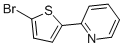 2-(5-BROMO-2-THIENYL)PYRIDINE CAS#: 123784-07-6