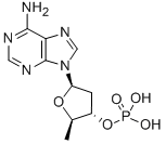 2' 5'-DIDEOXYADENOSINE 3'-MONOPHOSPHATE CAS#: 121878-11-3