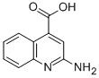 2-AMINO-QUINOLINE-4-CARBOXYLIC ACID CAS#: 157915-68-9