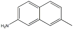2-Amino-7-methylnaphthalene CAS#: 116530-25-7