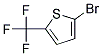 2-BROMO-5-TRIFLUOROMETHYLTHIOPHENE CAS#: 143469-22-1