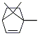 2-Bornene CAS#: 464-17-5