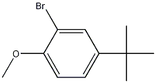 2-Bromo-4-t-butylanisole CAS#: 41280-65-3