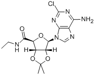 2-CHLORO-2',3'-O-ISOPROPYLIDENEADENOSINE-5'-N-ETHYLCARBOXAMIDE CAS#: 120225-75-4