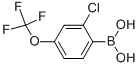 2-CHLORO-4-TRIFLUOROMETHOXYBENZENEBORONIC ACID CAS#: 345226-20-2