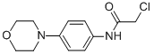 2-CHLORO-N-(4-MORPHOLIN-4-YL-PHENYL)-ACETAMIDE CAS#: 170655-46-6