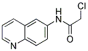 2-CHLORO-N-QUINOLIN-6-YL-ACETAMIDE CAS#: 122097-66-9