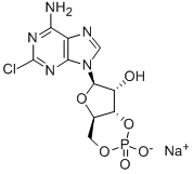 2-CHLOROADENOSINE-3',5'-CYCLIC MONOPHOSPHATE SODIUM SALT CAS#: 39023-65-9