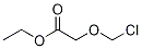 2-(ChloroMethoxy)acetic Acid Ethyl Ester CAS#: 124186-08-9
