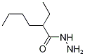 2-ETHYLHEXANOHYDRAZIDE CAS#: 41632-11-5