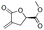 2-Furancarboxylicacid,tetrahydro-2-methyl-4-methylene-5-oxo-,(2R)-(9CI) CAS#: 314264-81-8