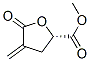 2-Furancarboxylicacid,tetrahydro-2-methyl-4-methylene-5-oxo-,(2S)-(9CI) CAS#: 314264-83-0