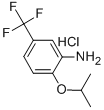 2-ISOPROPOXY-5-TRIFLUOROMETHYL-PHENYLAMINE HYDROCHLORIDE CAS#: 121307-23-1