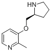 2-METHYL-3-((2S)-PYRROLIDIN-2-YLMETHOXY)PYRIDINE CAS#: 161417-03-4