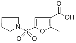 2-METHYL-5-(1-PYRROLIDINYLSULFONYL)-3-FUROIC ACID CAS#: 306936-43-6
