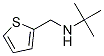 2-Methyl-N-(thiophen-2-ylMethyl)propan-2-aMine CAS#: 344257-87-0