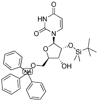 2'-O-(TERT-BUTYLDIMETHYLSILYL)-5'-O-TRITYLURIDINE CAS#: 117136-35-3