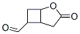 2-Oxabicyclo[3.2.0]heptane-6-carboxaldehyde, 3-oxo- (9CI) CAS#: 130464-76-5
