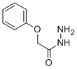 2-PHENOXYACETOHYDRAZIDE CAS#: 4664-55-5