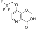 2-PYRIDINECARBOXYLIC ACID, 3-METHOXY-4-(2,2,2-TRIFLUOROETHOXY)- CAS#: 170621-84-8