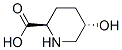 2-Piperidinecarboxylicacid,5-hydroxy-,(2R,5S)-(9CI) CAS#: 138662-60-9