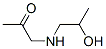 2-Propanone, 1-[(2-hydroxypropyl)amino]- (9CI) CAS#: 138169-32-1