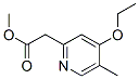 2-Pyridineaceticacid,4-ethoxy-5-methyl-,methylester(9CI) CAS#: 116419-06-8