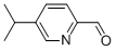 2-Pyridinecarboxaldehyde, 5-(1-methylethyl)- (9CI) CAS#: 137013-14-0