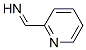 2-Pyridinemethanimine,(E)-(9CI) CAS#: 115663-05-3