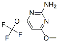 2-Pyrimidinamine, 4-methoxy-6-(trifluoromethoxy)- (9CI) CAS#: 137161-25-2