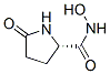 2-Pyrrolidinecarboxamide,N-hydroxy-5-oxo-,(S)-(9CI) CAS#: 148650-23-1