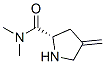 2-Pyrrolidinecarboxamide,N,N-dimethyl-4-methylene-,(S)-(9CI) CAS#: 162281-70-1