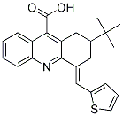 2-TERT-BUTYL-4-THIOPHEN-2-YLMETHYLENE-1,2,3,4-TETRAHYDRO-ACRIDINE-9-CARBOXYLIC ACID CAS#: 380574-08-3